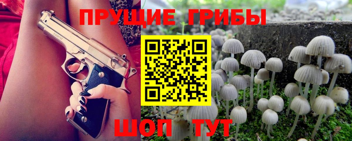 Псилоцибиновые грибы MAGIC MUSHROOMS  Вход с VPN  Красногорск 