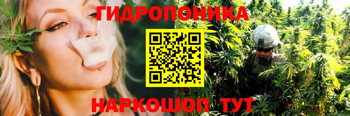 Бошки Шишки ГИДРОПОН Красногорск